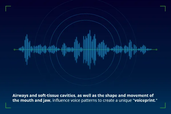 Immutable by Design, Vulnerable by Nature: Why Voiceprint Defense Demands a Completely New Security Paradigm